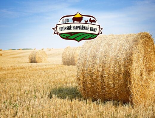 TETÍNSKÉ FARMÁŘSKÉ TRHY – DOŽÍNKY